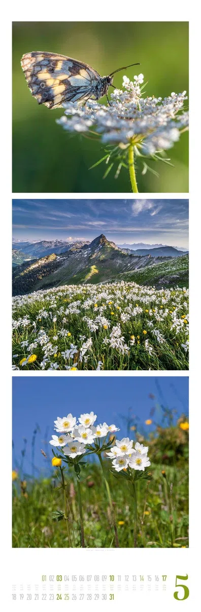 Nature Triplet-Kalender 2026 | Stilvoller Natur-Kalender im schlanken Hochformat (33x100 cm) | Triplet-Fotografie im Premium-Format