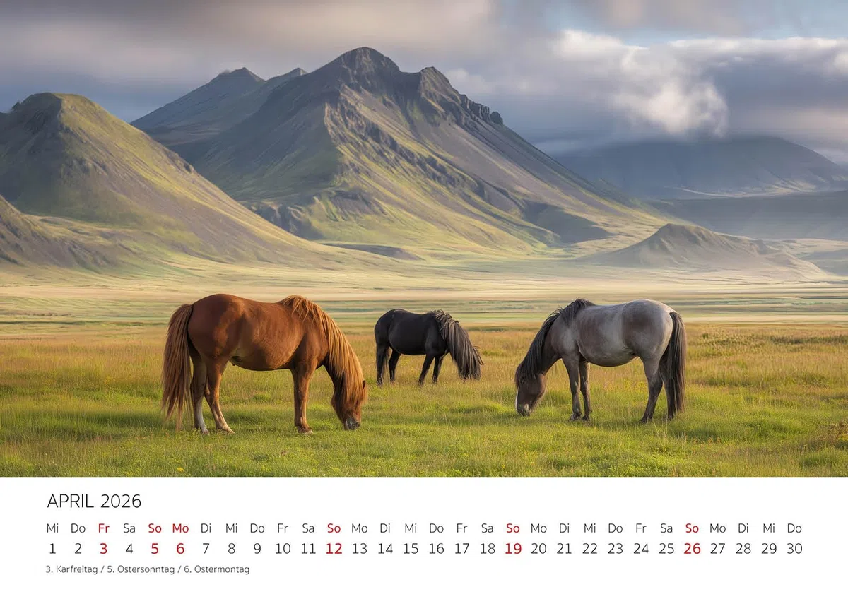 Edition Seidel Premium Kalender Wild und frei Islandpferde 2026 Format DIN A3 Wandkalender Pferdekalender Isländer Island Tiere Pony Stute Hengst Fohlen