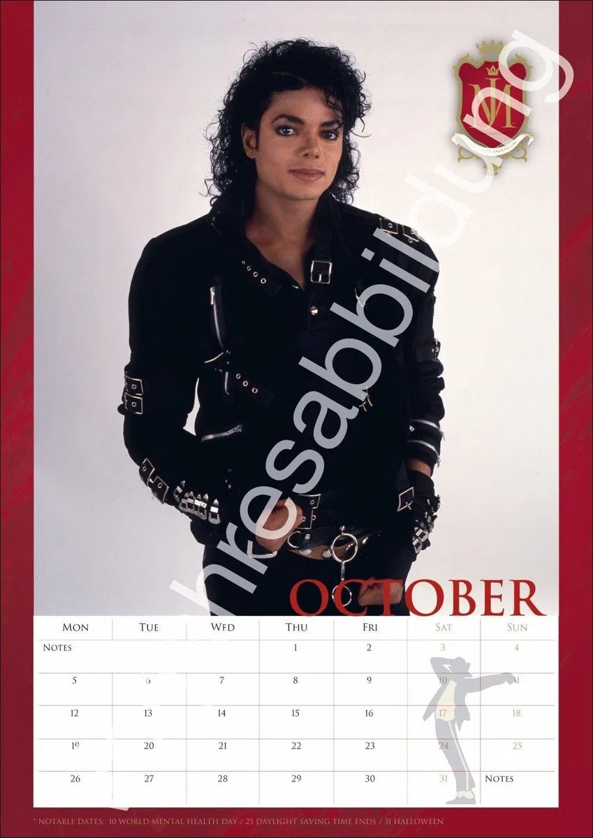 Michael Jackson Posterkalender 2027: Musikalische Begleitung durch das ganze Jahr mit der Pop-Legende Michael Jackson als Wandkalender.