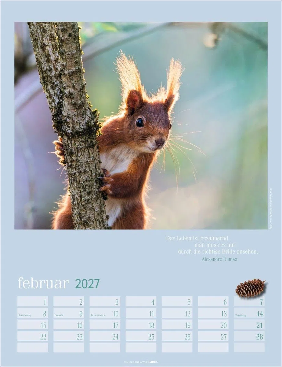 Eichhörnchen Kalender 2027: Fotokalender zum Aufhängen. Mit süßen Eichhörnchen-Bildern und Zitaten für jeden Monat. Tierkalender mit Platz zum Eintragen. 30 x 39 cm