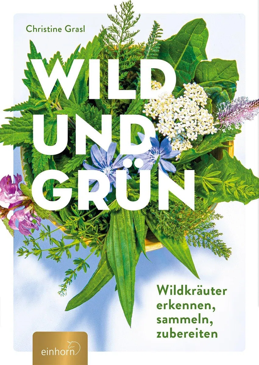 Wild und Grün: Wildkräuter erkennen, sammeln, zubereiten