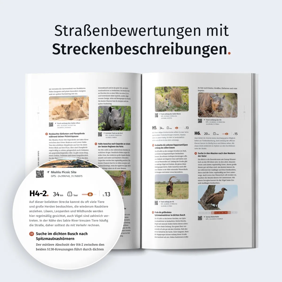 WILDFUL STORIES Kruger Park Guide: Detaillierte Parkkarten für Selbstfahrer mit Streckenbewertungen und konkreten Spots für unvergessliche Safaris (inkl. App) (Park Guides)