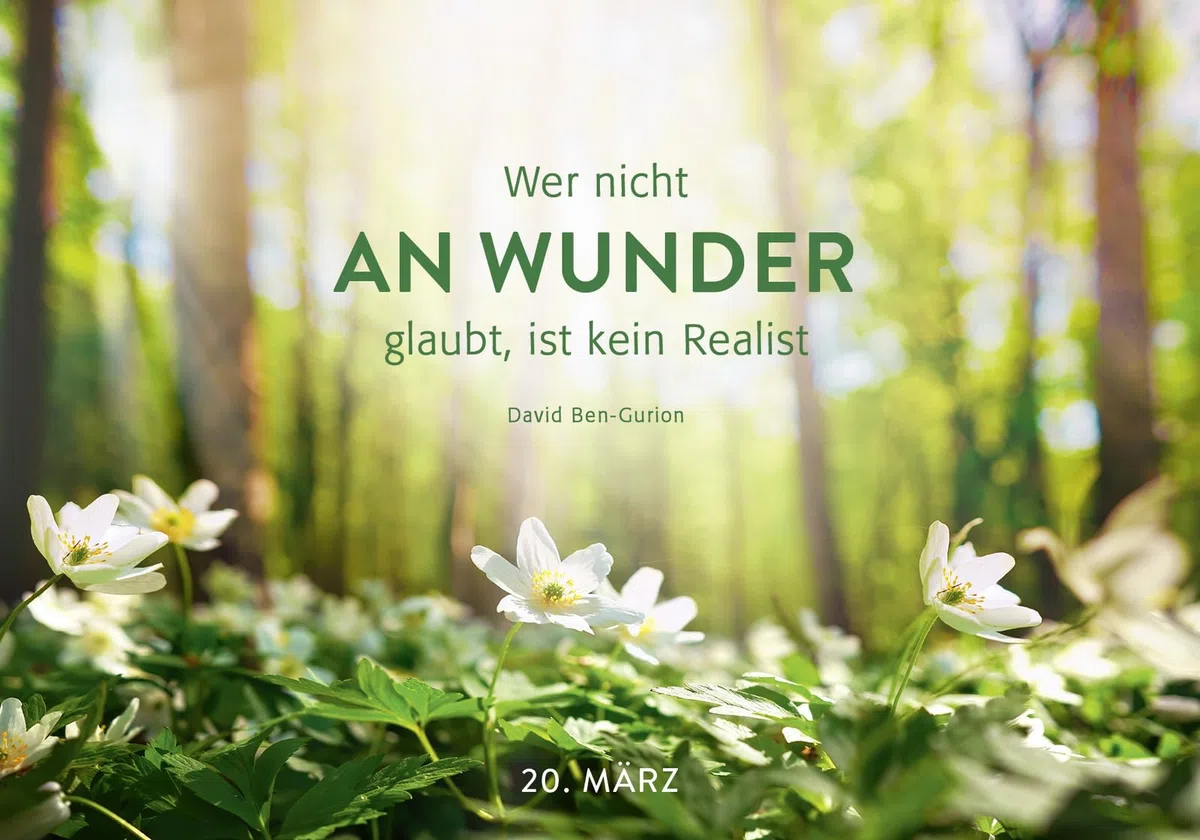 365 mal Zuversicht: Immerwährender Kalender zum Aufstellen | Fröhliche Fotografien und Zitate, die Mut machen und Zuversicht schenken (Immerwährende Kalender für jeden Tag)