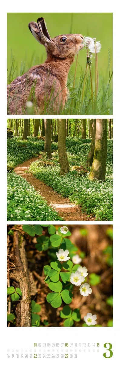 Nature Triplet-Kalender 2026 | Stilvoller Natur-Kalender im schlanken Hochformat (33x100 cm) | Triplet-Fotografie im Premium-Format