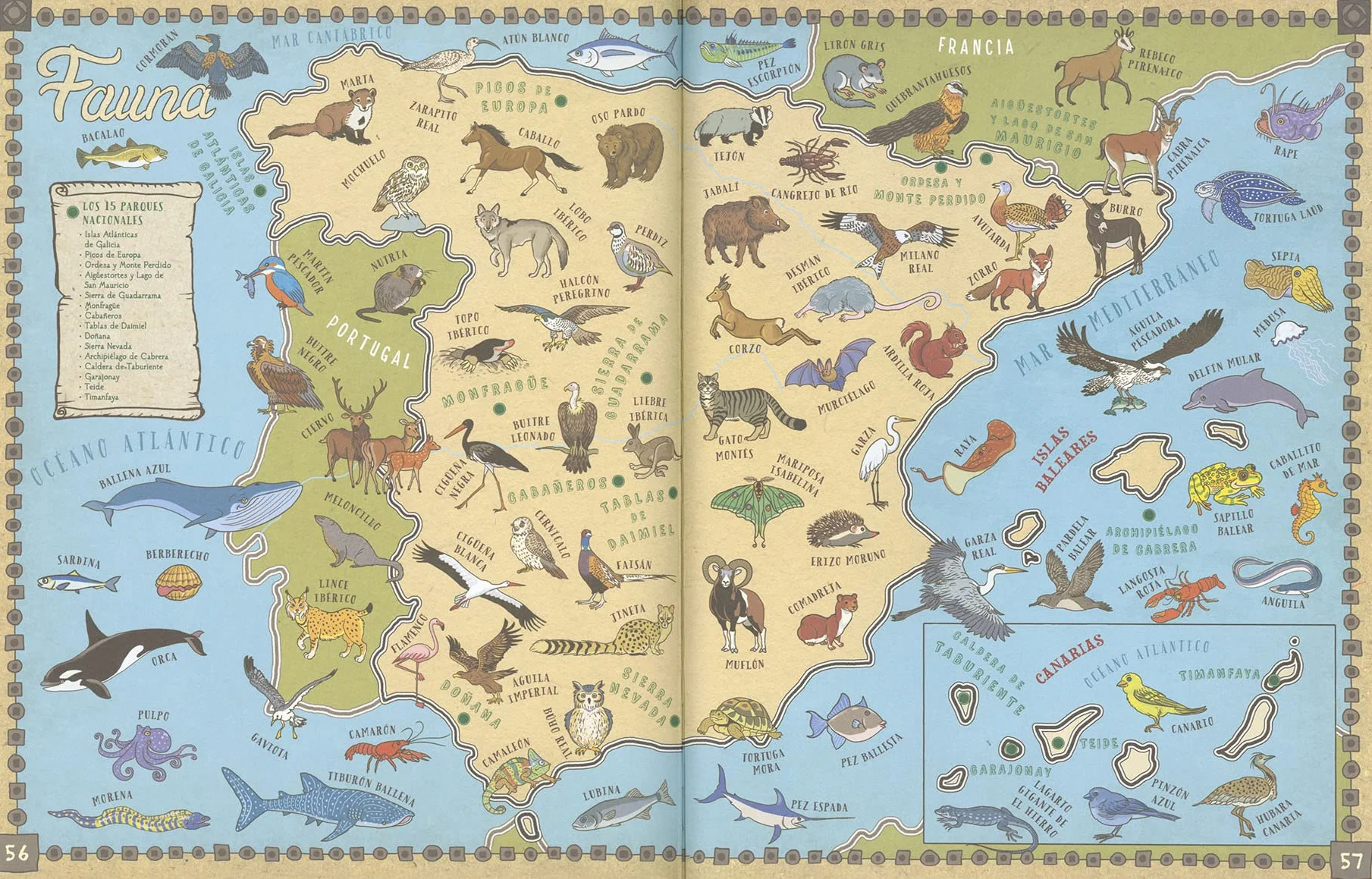 España en mapas (El mundo en mapas)