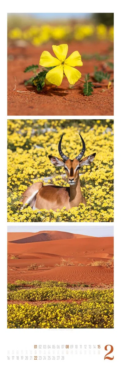 Nature Triplet-Kalender 2026 | Stilvoller Natur-Kalender im schlanken Hochformat (33x100 cm) | Triplet-Fotografie im Premium-Format