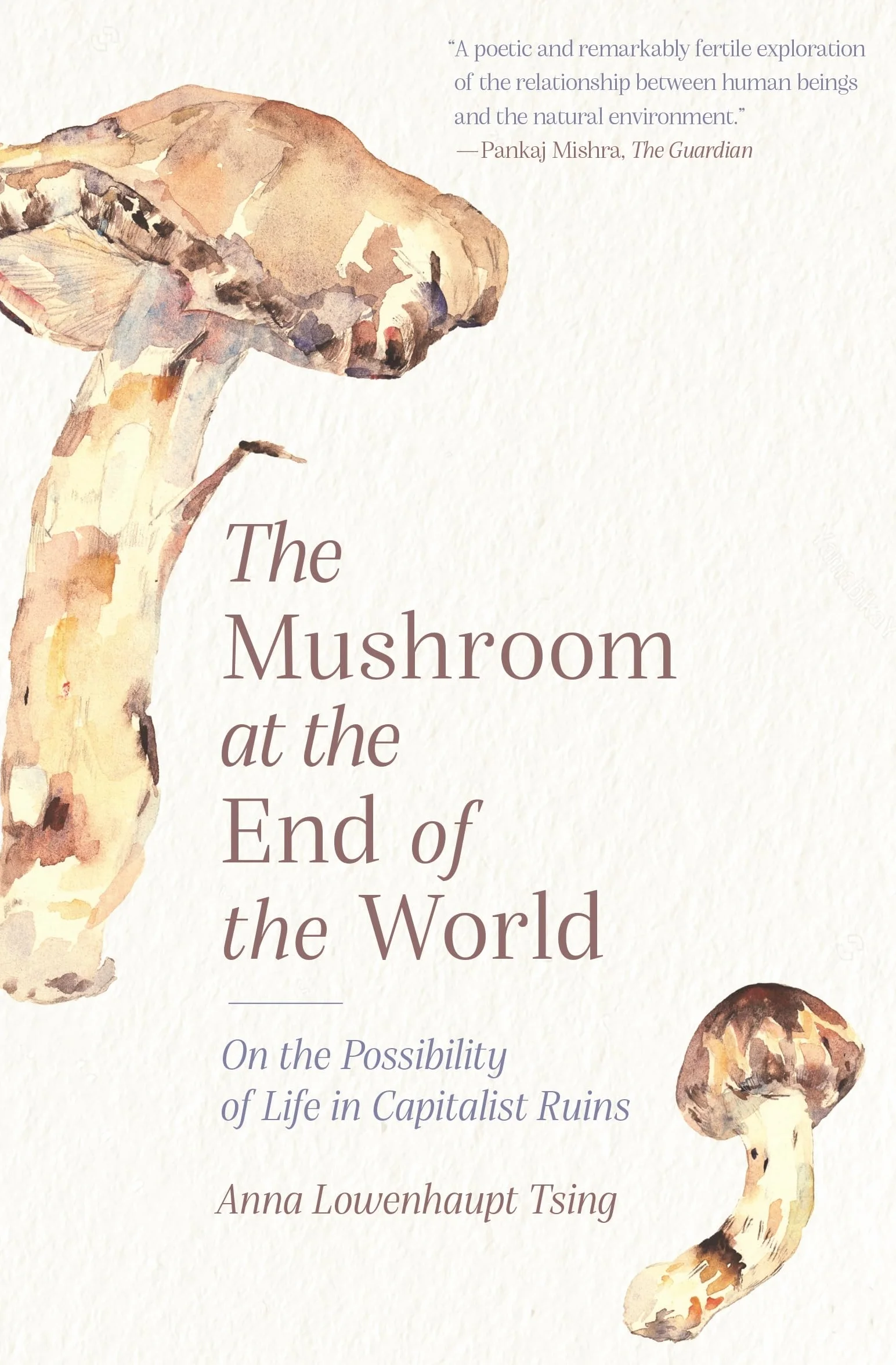 Mushroom at the End of the World: On the Possibility of Life in Capitalist Ruins