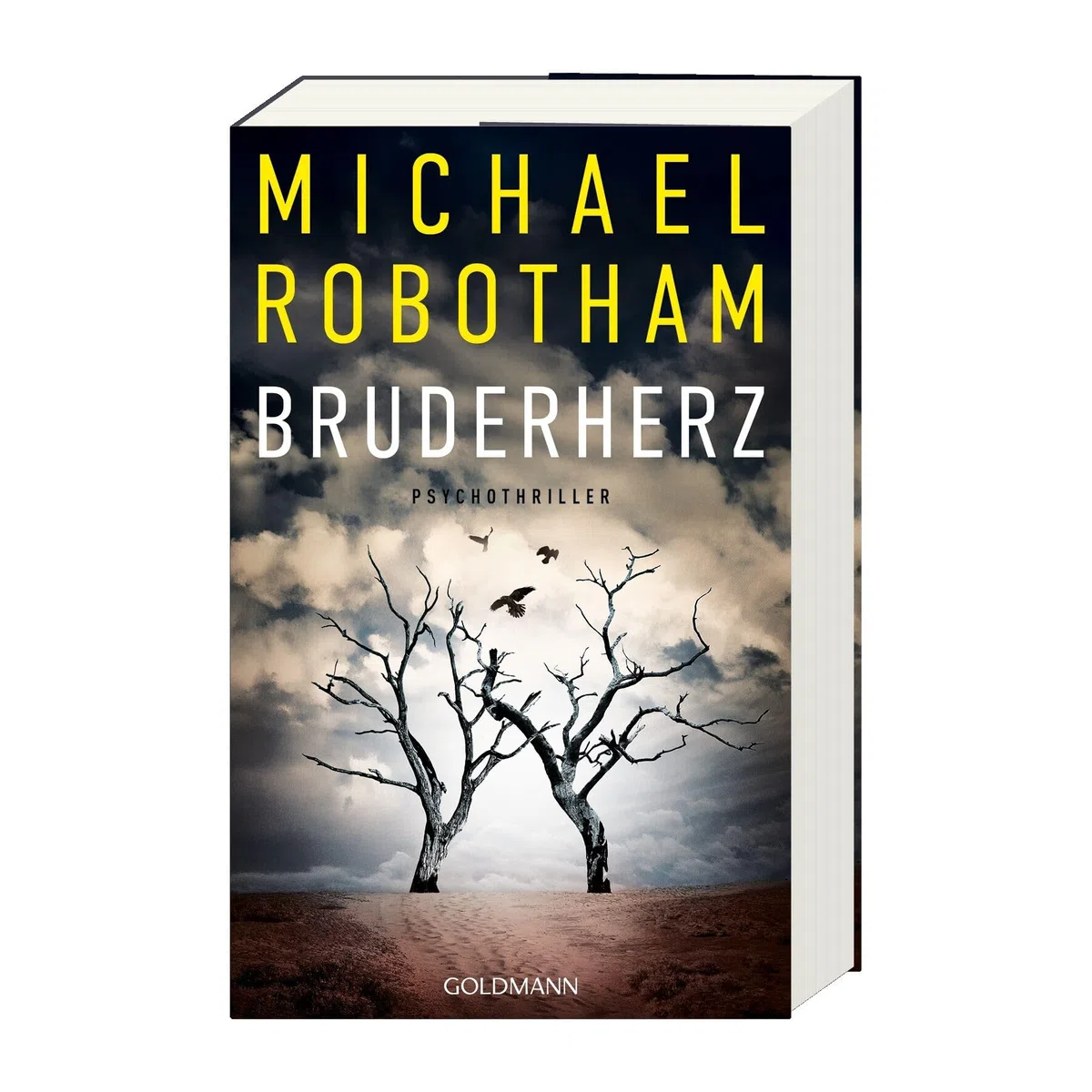 Bruderherz: Thriller - Der neue packende Thriller des Nr. 1-SPIEGEL-Bestsellerautors