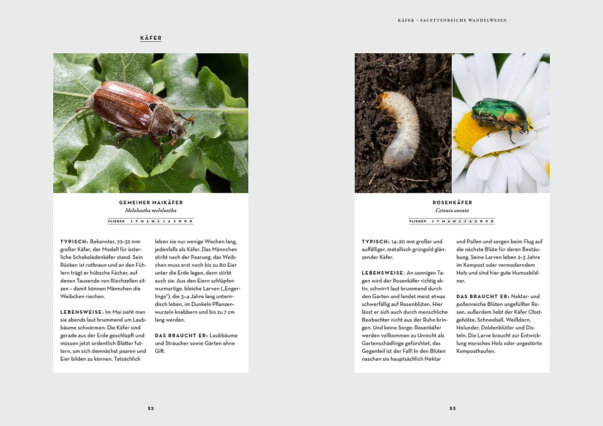 Wer Schmetterlinge liebt, muss Raupen füttern: Insekten im Garten fördern und schützen
