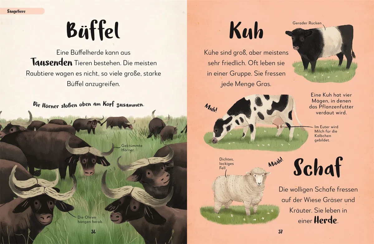 Mein liebstes Buch der Tiere: Von Zebra, Oktopus und Papagei: 100 Tiere entdecken. Ein wunderschönes erstes Tierbilderbuch. Für Kinder ab 3 Jahren