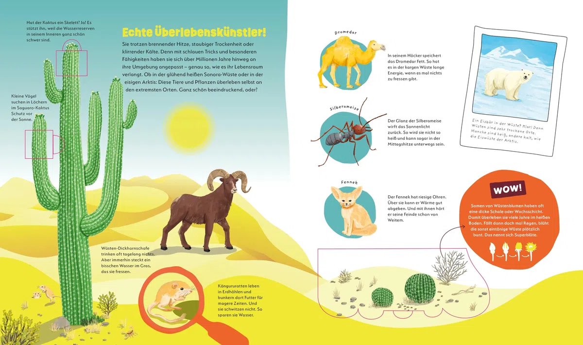 WAS IST WAS Kids Unsere Erde. Ein Planet voller Leben – und du bist mittendrin! | Wissen mit WOW-Effekt und spannenden Klappen | Für Kinder ab 4 Jahren