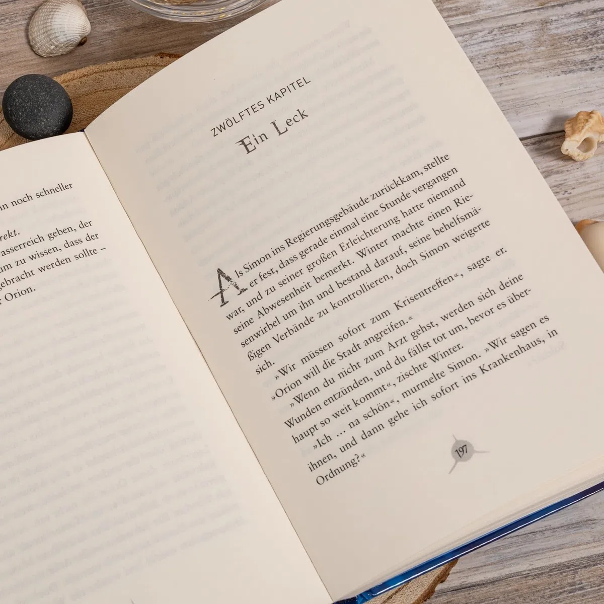 Animox 3: Die Stadt der Haie: Spannungsgeladenes Bestseller-Fantasy-Abenteuer für Leser ab 10 Jahren