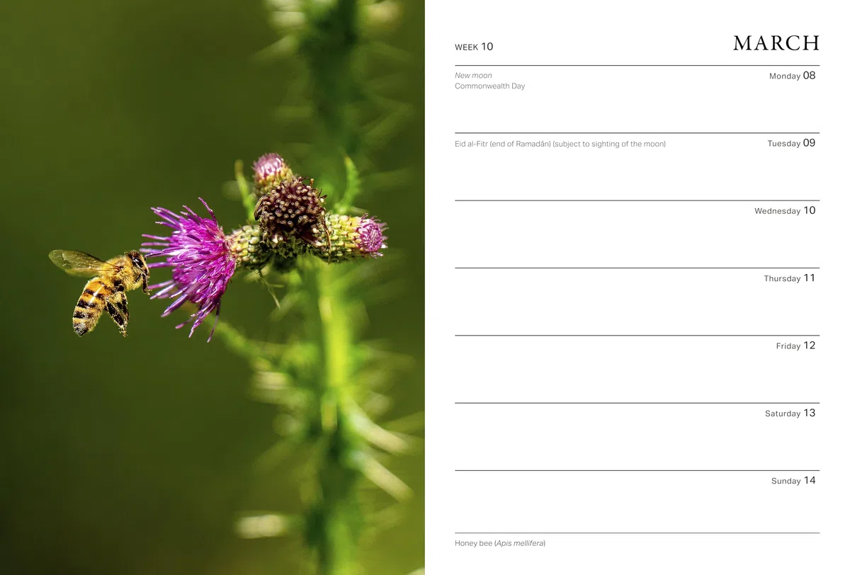 RHS Wild in the Garden Diary 2027