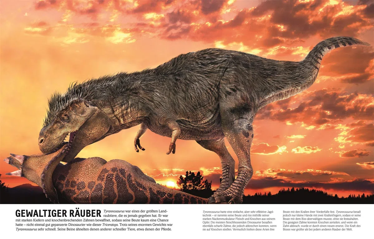 Unsere Welt in 1000 Bildern. Dinosaurier: Lebewesen und Fossilien der Urzeit. Dinos spektakülar und reich bebildert erklärt. Für Kinder ab 7 Jahren