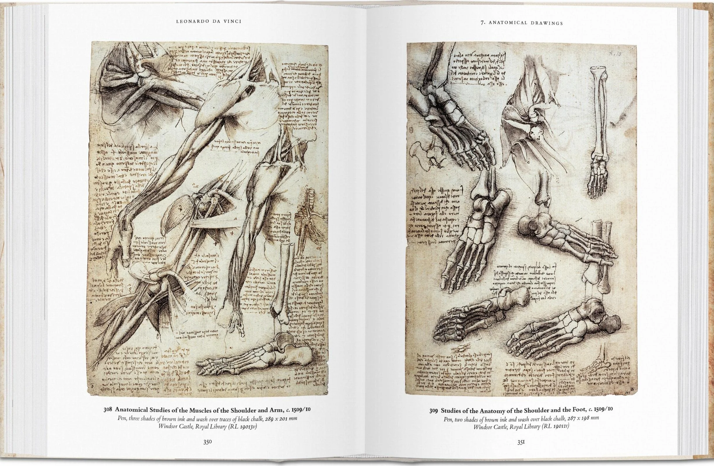 Leonardo: Sämtliche Zeichnungen (Bibliotheca Universalis)