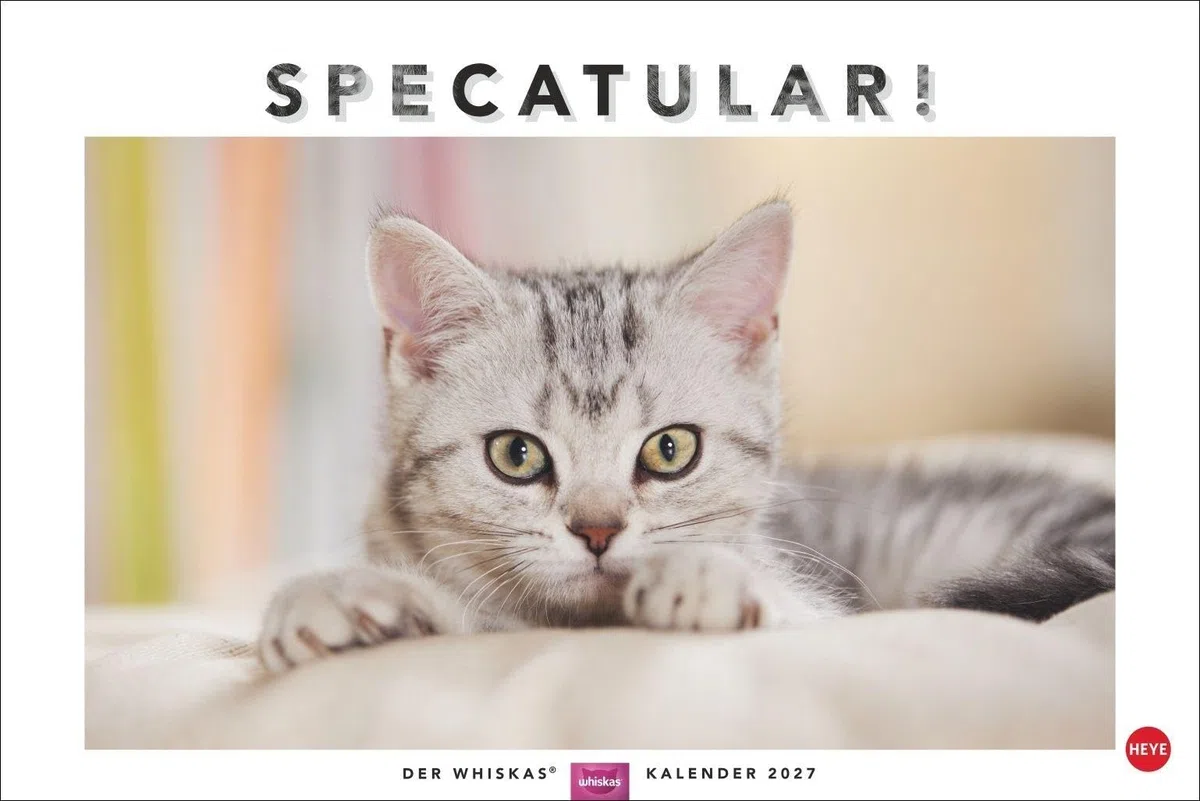 Whiskas Katzenkalender 2027: Foto-Wandkalender mit süßen Katzen und lustigen Geschichten. Wandkalender 2027 in schönem Design. Bildkalender 2027. Querformat 45 x 30 cm.