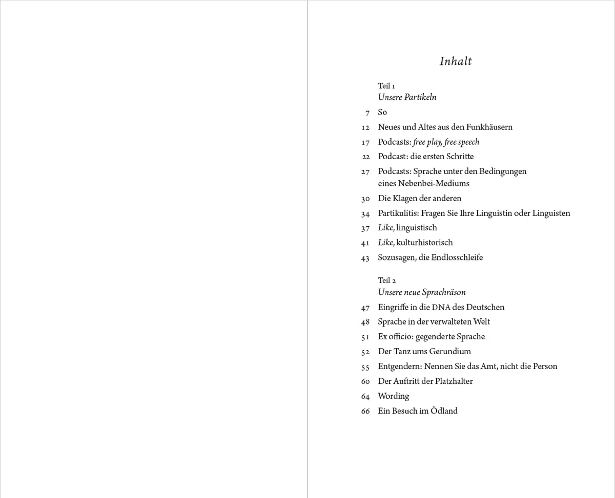 Irgendwie so total spannend: Unser schöner neuer Sprachgebrauch (Essays)