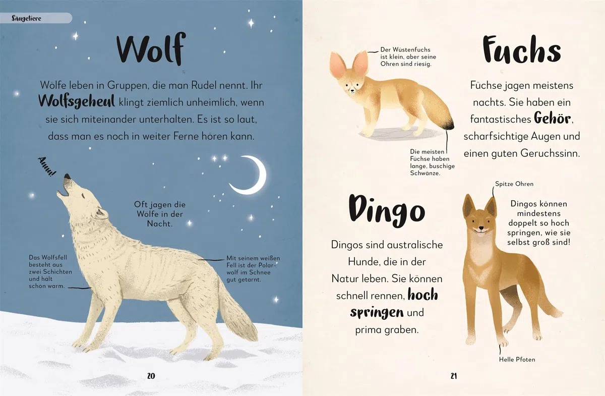 Mein liebstes Buch der Tiere: Von Zebra, Oktopus und Papagei: 100 Tiere entdecken. Ein wunderschönes erstes Tierbilderbuch. Für Kinder ab 3 Jahren