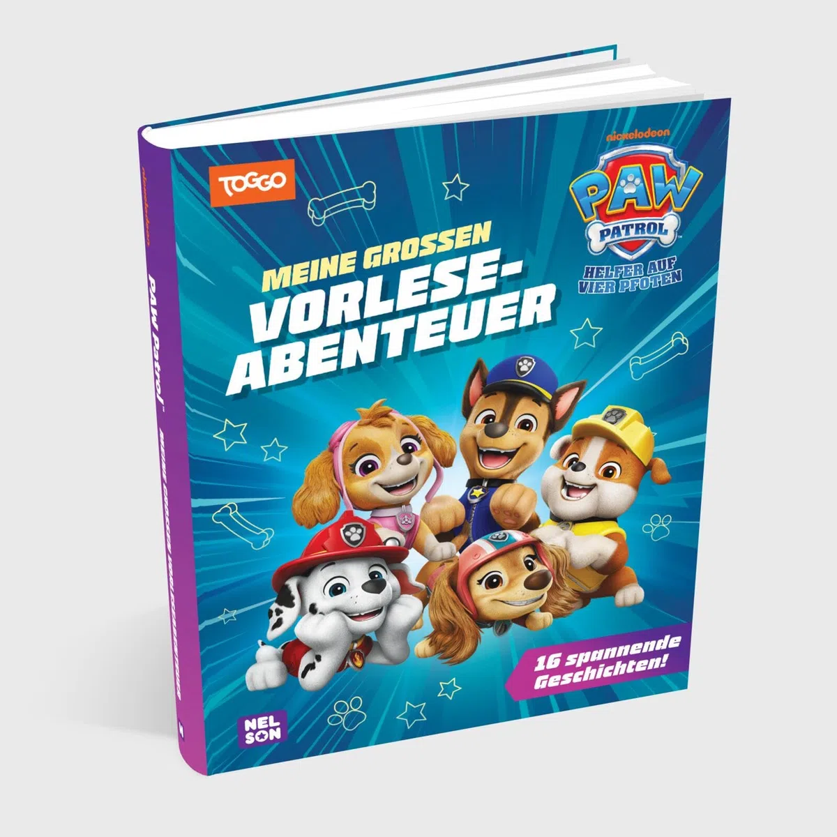 PAW Patrol Geschichtenbuch: Meine großen Vorleseabenteuer: 16 spannende Geschichten! | Neue Vorlesegeschichten aus der Serie mit Chase, Skye, Marshall und den Fellfreunden ab 3 Jahren