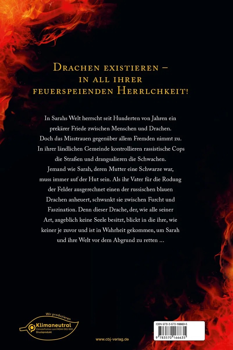 Burn – Die Welt brennt wie Feuer: Eine atemberaubende Fantasy über Hoffnung, Mut und zweite Chancen in einer Welt am Rande des Abgrunds