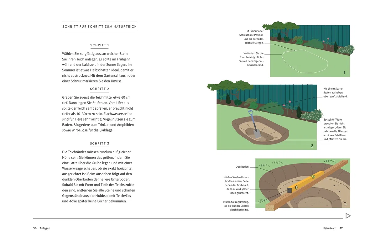 Leben am Gartenteich: Einen Teich planen, anlegen und Tiere und Pflanzen beobachten