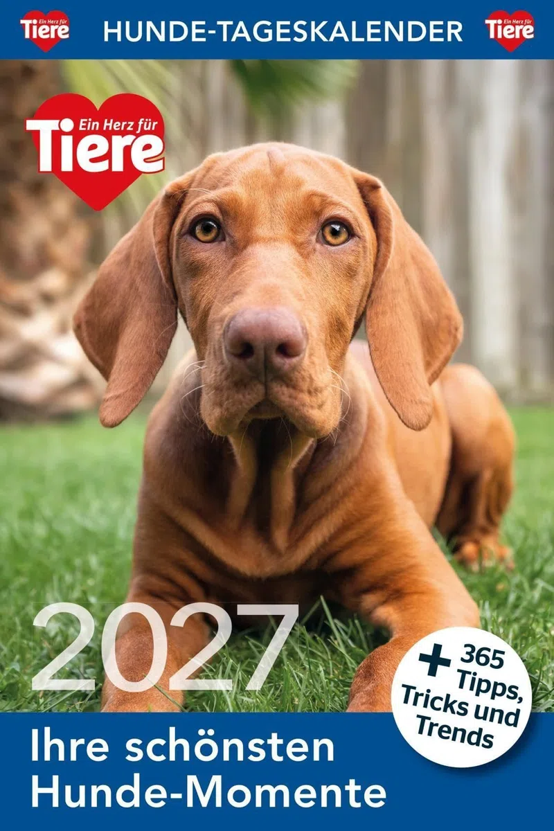 Hunde Tageskalender 2027