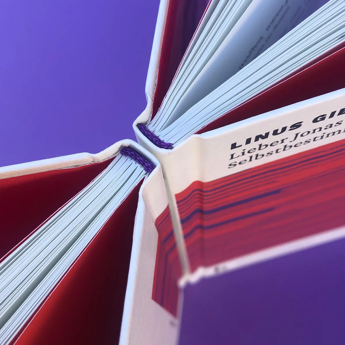 Lieber Jonas oder Der Wunsch nach Selbstbestimmung: »Ein durch und durch zauberhaftes Buch über durch und durch große Fragen.« Daniel Schreiber (Briefe an die kommenden Generationen)