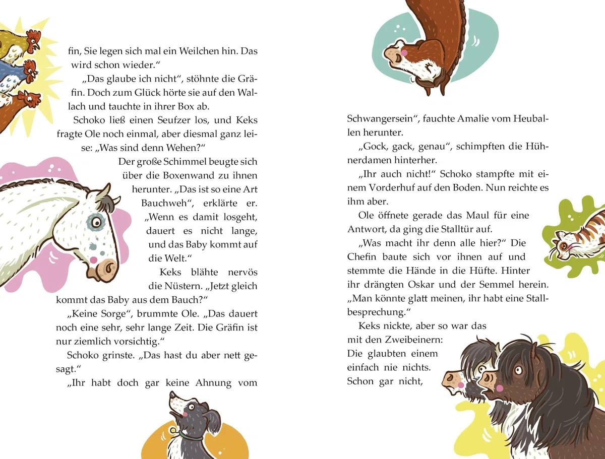 Die Haferhorde - Huf über Kopf: Band 7 der lustigen Ponyabenteuer für Kinder ab 8 Jahren