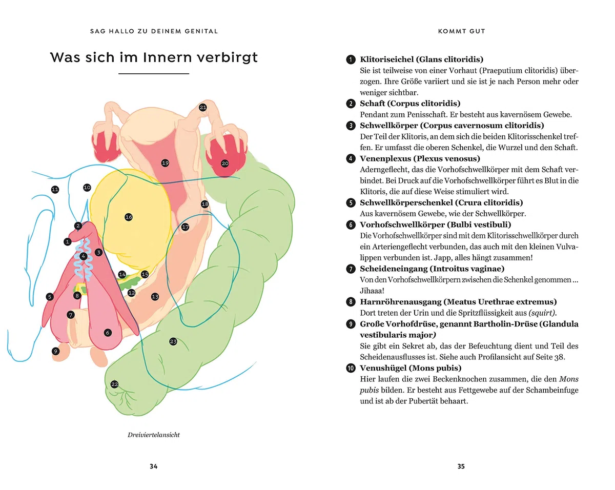 Kommt gut: 1001 Sex-Tipps und Illustrationen für mehr Oohs und Aahs