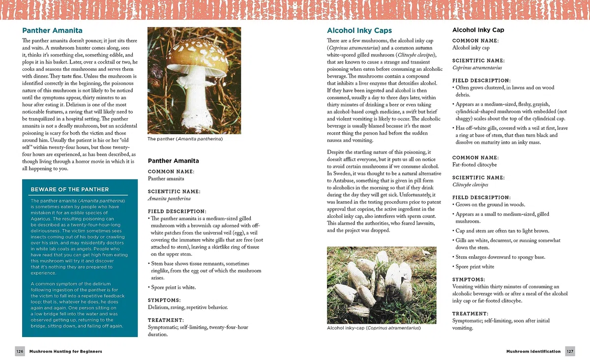 Mushroom Hunting for Beginners: A Starter's Guide to Identifying and Foraging Fungi (New Shoe Press)
