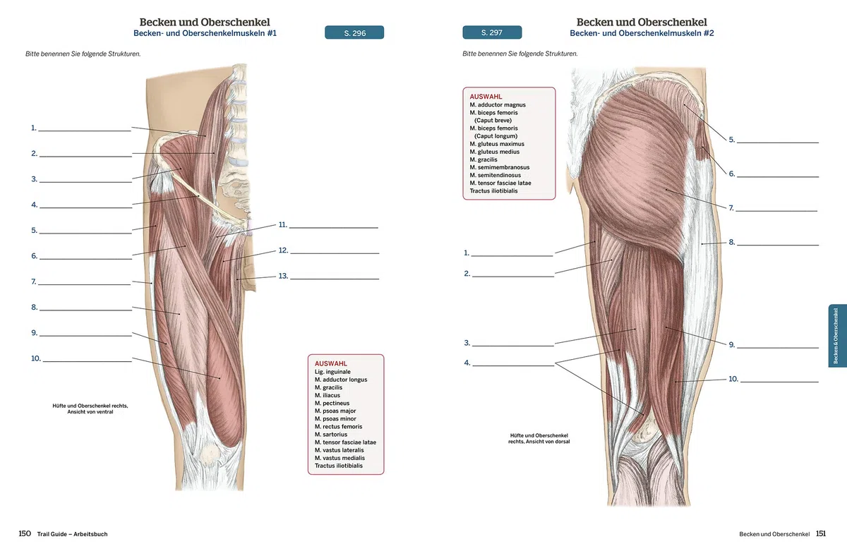 Trail Guide Arbeitsbuch: Eine praxisorientierte Lernhilfe für die Anatomie