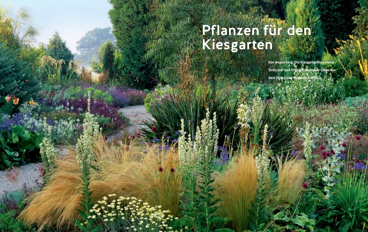Blütenpracht ohne Gießen: Ganzjährig attraktive Beete bei Hitze und Trockenheit (GU Gartengestaltung)