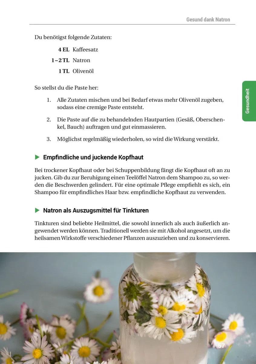 Das Natron-Handbuch - über 250 Tipps und Rezepte mit Natriumhydrogencarbonat, der gesunden, ökologischen und günstigen Alternative für deinen ... ... in Haushalt, Küche, Bad und Garten