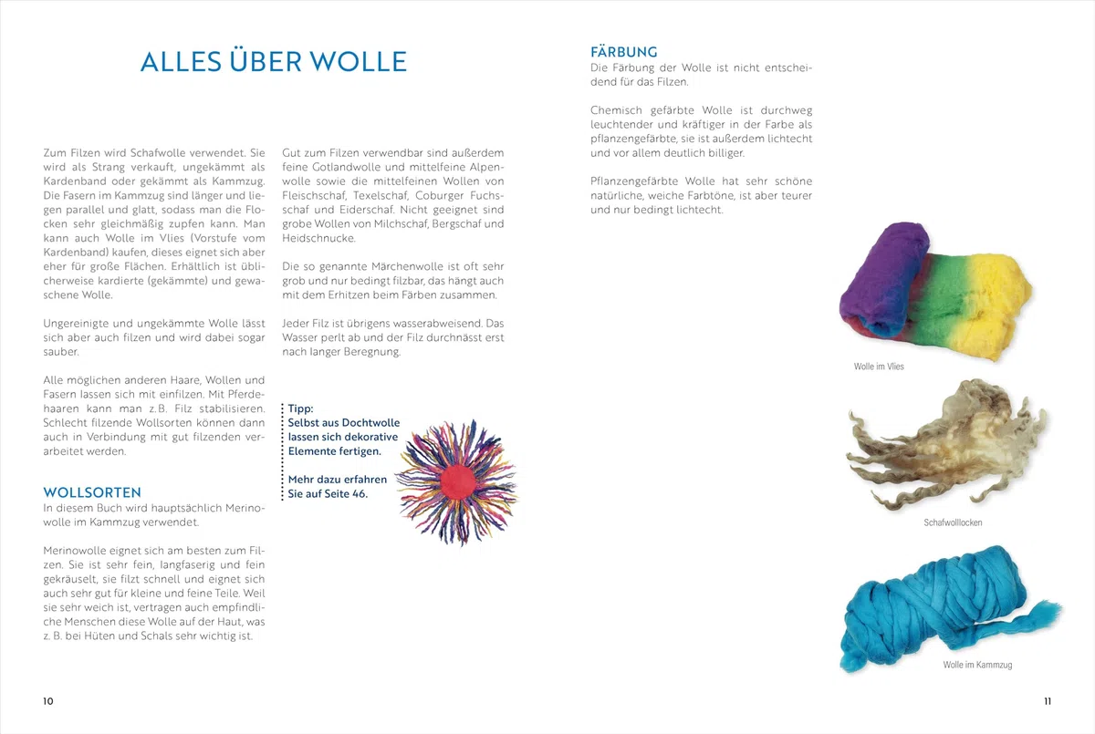 Das große Buch vom Filzen: Grundlagen, Techniken, Projekte. Mit vielen Anwendungsbeispielen